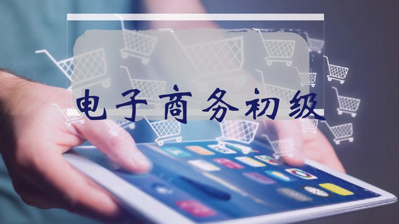 深圳独立站搭建：品牌对比与搭建要点解析